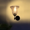 Devansh Metal Electric Wall Light in black Colour with Transparent Shade Count of 1 Light