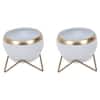 Apple Planter Set Of 2 In White And Gold Colour
