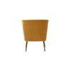 Rabel Accent Chair in Yellow Colour
