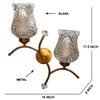Devansh Metal Electric Wall Light in Gold Colour with Multi Shade Count of 2 Lights