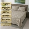 Mace Coffee Floral 400 TC Cotton Flat Super King Size Bedsheet with 2 Pillow Covers – Threads