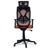 Zeeazyana High Back Ergonomic Chair in Orange Colour