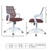 Xeanea Mid Back Ergonomic Chair in Brown Colour