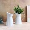 Jug Pot Planter Set Of 2 In White Colour
