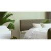 Havelock Engineered Wood Queen Size Bed In White Finish