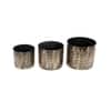 Dot Hammered Planter Set Of 3 In Black And Gold Colour