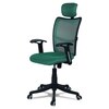 Jeaorda High Back Ergonomic Chair in Dark Green Colour