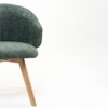 Tezzo Fabric Dining Chair in Green Colour