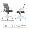 Xeanea Mid Back Ergonomic Chair in Black Colour
