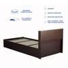 Takeo Engineered Wood Single  Size Bed With Box Storage (Walnut Finish)