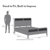 Hanoi Solid Wood Cane Queen Size Non storage Bed In Amber Walnut Finish Fabric Davis Plus