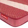 Rise - Bonnel Spring Spring Mattress (75 x 60 in, 6 Inches)