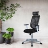 Wiweangs High Back Ergonomic Chair in Black Colour