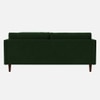 Tharoli Velvet 2 Seater Sofa in Green Colour