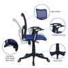 Eexcaeal Mid Back Ergonomic Chair in Blue Colour