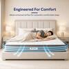 Sleepwell FitRest Plus Premium Mattress Medium Firm Plush Quilt Queen Size 75x60x7 in