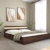 Joben Engineered Wood Queen  Size Bed With Box Storage (Walnut Finish)