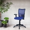 Eexcaeal Mid Back Ergonomic Chair in Blue Colour
