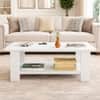 Spydercraft Penio Modern Coffee Table in White Finish