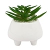 Whisker Cat Ceramic Planter