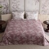 Stoa Paris Super King Size Cotton Bedsheet with 2 Pillow Covers  Size Ember Leaf Coral