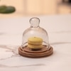 Ireka Homes Nibble Nest Acacia Wood Cake Stand with Glass Dome
