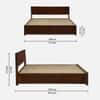 Ivoryn Box Storage Solid Wood Bed King Size in Tobacco Colour