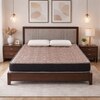 Repose Mattrix Affordable Bonnell Spring Mattress (L x W: 75 inch x 48 inch, Thickness 6 Inches )