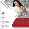 Resteria Golden Fibre Tech Mattress (72 x 66 in, 8 Inches)