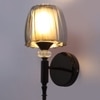 Eliante Modern Wall Lights Mild Steel & Glass Material Glossy Black & Smoky Finish