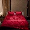 Stoa Paris Comforter Set Double Bed, 300TC Satin Double Bed Comforters in Flirty Red