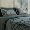 Stoa Paris Super King Size 100% Cotton Bedsheet with 2 Pillow Covers  Size Green Charcoal