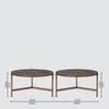 Albertoni Round Coffee Table With Ss Base In Bronze Colour