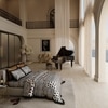 Stoa Paris King Size Enriched Cotton Comforter, 300TC Aesthetic AC Comforter , 300TC Primal Elegance