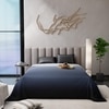 Stoa Paris Comforter for King Size Bed, 300 TC Ultra Satin Fabric  Taupe Sapphire