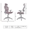 Reaii Mid Back Ergonomic Chair in Brown Colour