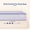 Sleepwell Nexa Plus Premium Mattress Medium Firm Resitec Foam King Size 84x72x7 in