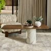 Zephlox Veneer Coffee Table In Walnut Finish