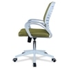 Mmarveal Mid Back Ergonomic Chair in Pearl Green Colour