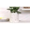 Bryce White Marble Planter
