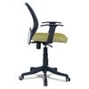 Xxeana Low Back Ergonomic Chair in Pearl Green Colour