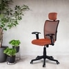 Jeaorda High Back Ergonomic Chair in Orange Colour