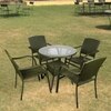 Wagga Wagga Wicker Table And Chair Set In  Dark Dreen Dual Tone Finish