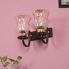 Eliante Modern Wall Lights Mild Steel, Glass & Glass Material Brown,Gold & Golden Finish
