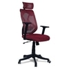 Zeeazyana High Back Ergonomic Chair in Maroon Colour