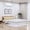 Hexa Engineered Wood Modern King Bed With Headboard Without Storage In Frosty White And Giant Wood