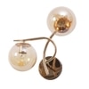 Eliante Modern Wall Lights Mild Steel & Glass Material Gold & Champaign Finish