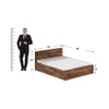 Simplicity Solid Wood Queen  Size Bed With Box Storage (Provincial Teak Finish)
