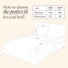 Stoa Paris Sateen Quilted King Size Bed Cover with 2 Pillow Covers (100 x 108) lted King Cha Champagne