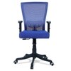 Ebeaony Mid Back Ergonomic Chair in Blue Colour